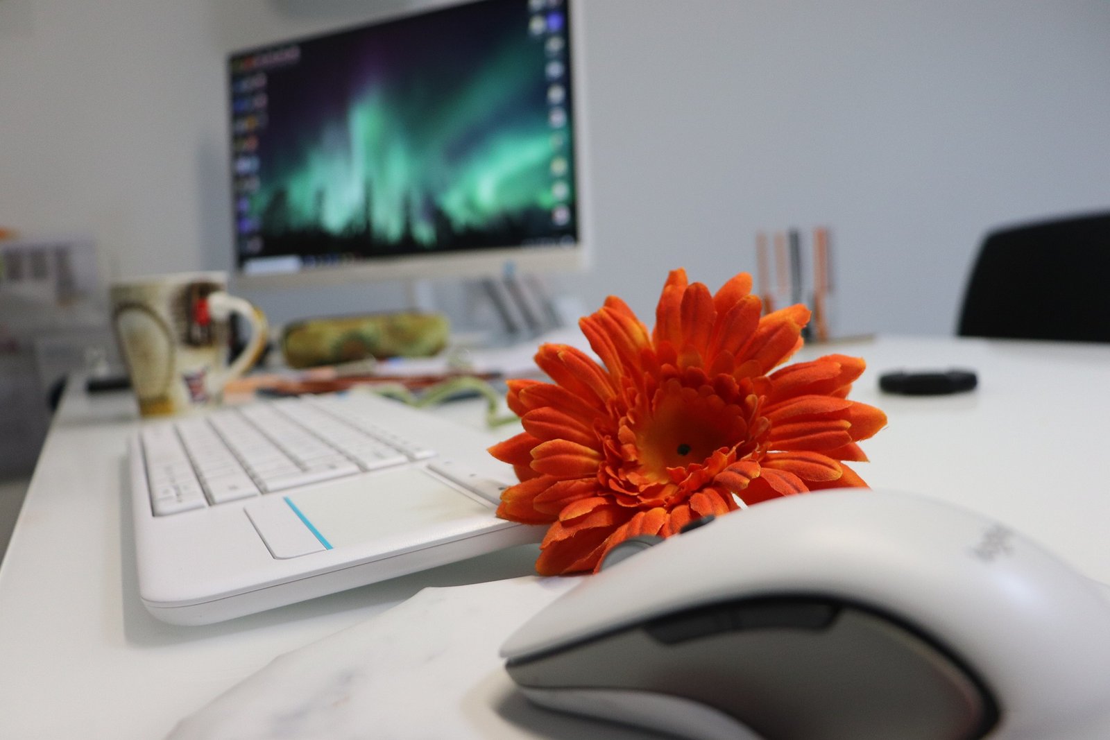 Eliminate Echo: Transform Your WFH Space into a Sound Haven